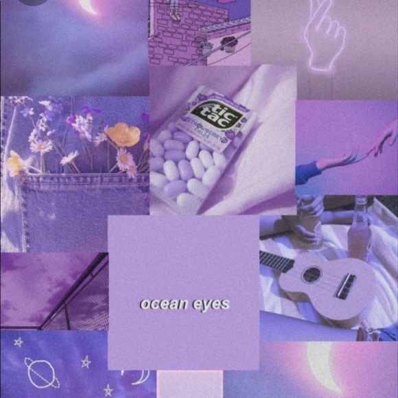 Meet your Posher, Berenise - Picture 1 of 1